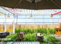 Garden Advice Homenumental