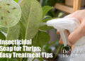 Insecticidal Soap for Thrips
