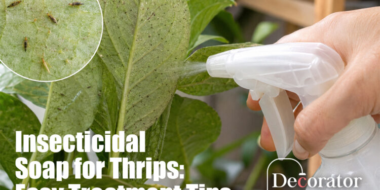 Insecticidal Soap for Thrips