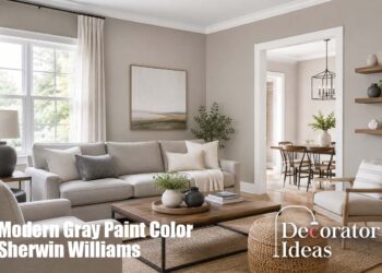 Modern Gray Paint Color Sherwin Williams